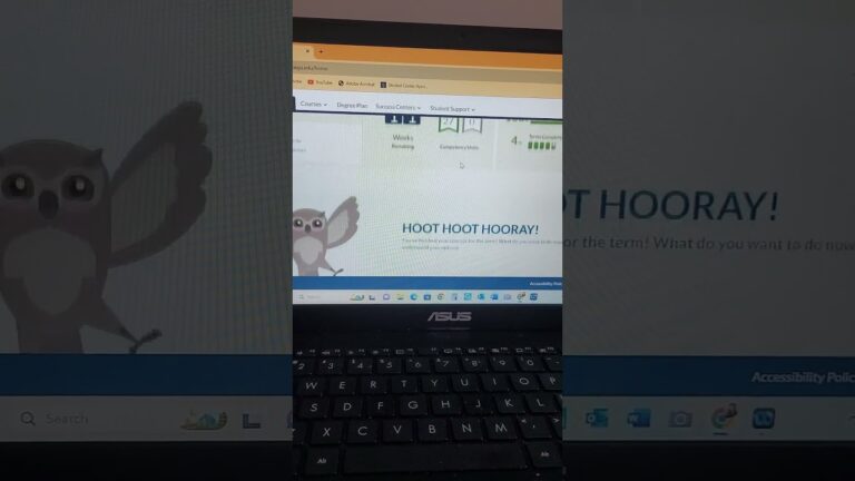 I graduated y'all 😁 #wgu #college #graduation #bachelorsdegree #business #administration #management