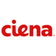 Why Ciena Sank Today | The Motley Fool