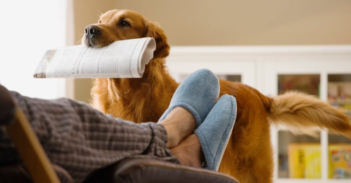 The Fed Didn't Cut Rates. Here's What That Means for Your Money Now