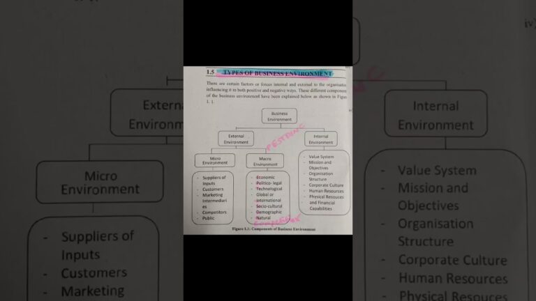 Types of Business Environment #Business #environment #shorts