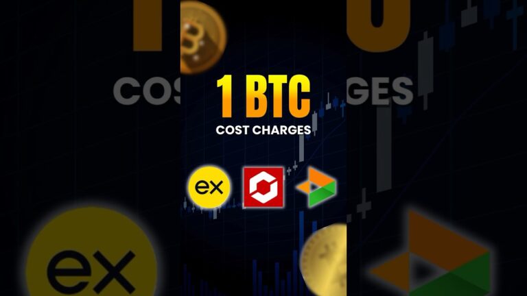Cheapest Crypto Broker in India? 💹 | Bitcoin Trading Test”