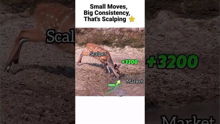 Scalper Move 50 Lakh View #trading #cryptotrading#stockmarket #nifty #forex  #tradesetup #scalping
