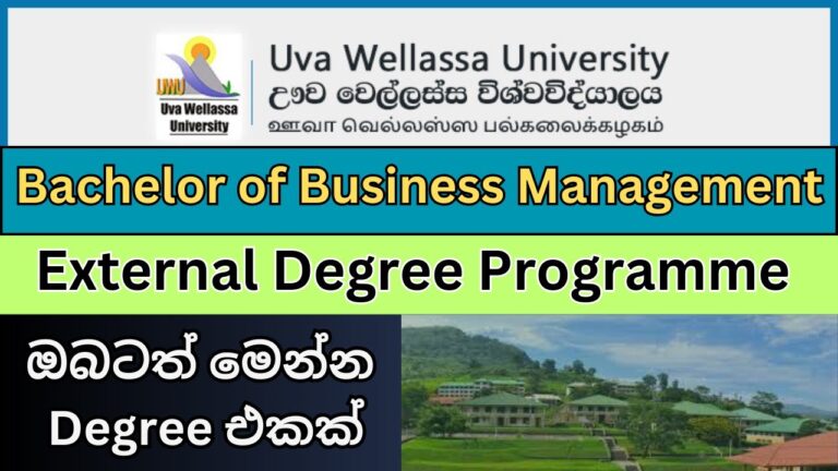 Business Management Degree in Uva University I External Degree Programme