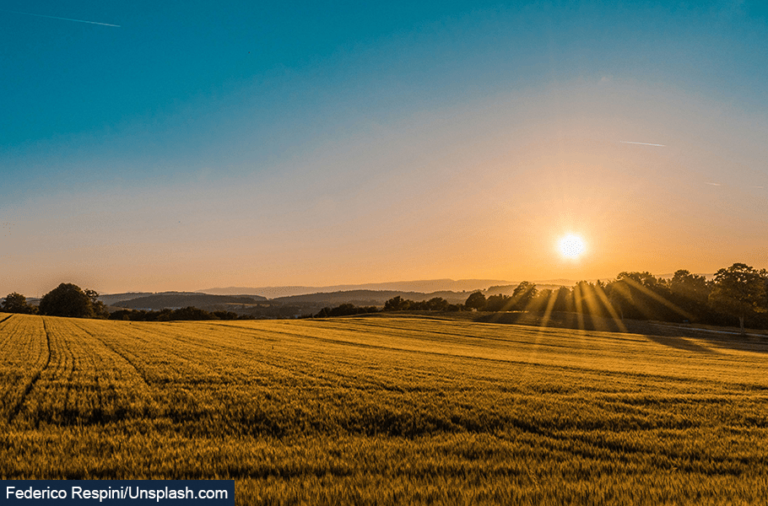 Has UK food inflation been under the weather? – Bank Underground