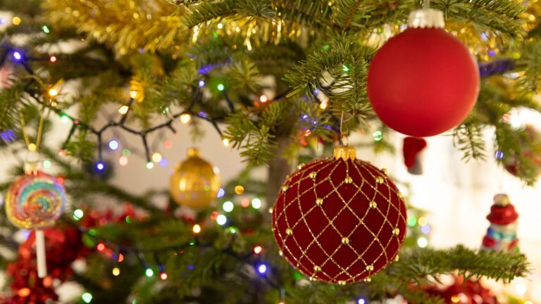 A Cyberattack Hit Family-Owned Christmas Central at Peak Season. Now It’s Filing for Bankruptcy