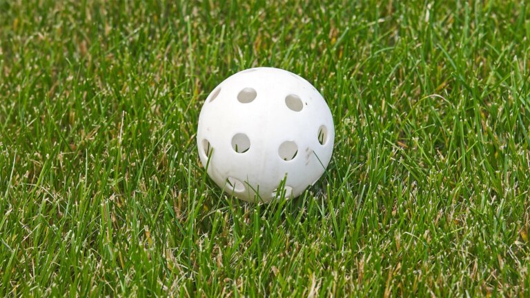 A 13-Year-Old Built a Backyard Wiffle Ball Stadium. Now His Family Owns the 73-Year-Old Brand
